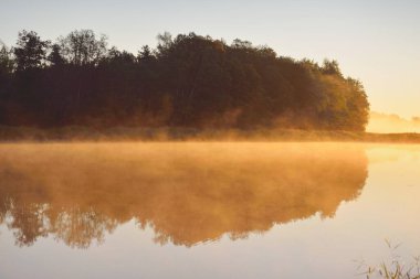 Forest river (lake) at sunrise. Golden hour, pure sunlight, fog. Clear sky. Idyllic landscape. Nature, ecology, environmental conservation, ecotourism concepts