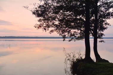 Forest lake at sunset. Mighty trees. Soft sunlight, glowing clouds, symmetry reflections in a crystal clear water. Idyllic landscape. Panoramic view. Nature, ecology, ecotourism. Peace and joy concept