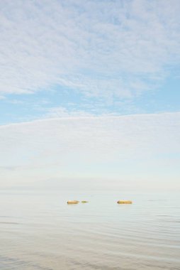 Güneşli bir günde Baltık Denizi kıyısı. Gökyüzü açık. Idyllic deniz manzarası. Doğa, tatiller, eğlence. Çevre turizmi. Panoramik görünüm
