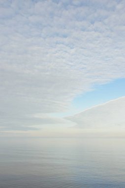 Güneşli bir günde Baltık Denizi kıyısı. Gökyüzü açık. Idyllic deniz manzarası. Doğa, tatiller, eğlence. Çevre turizmi. Panoramik görünüm