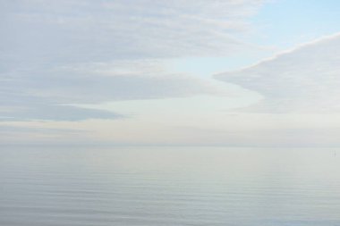 Güneşli bir günde Baltık Denizi kıyısı. Gökyüzü açık. Idyllic deniz manzarası. Doğa, tatiller, eğlence. Çevre turizmi. Panoramik görünüm
