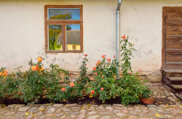 Kırsal ahşap kapılı ve pencereli geleneksel taş ev. Çiçek açan güller, güzel bahçeler. Idyllic kırsal kesim. Seyahat yerleri, yerel turizm, şehir simgeleri, bahçe düzenlemeleri, peyzaj.