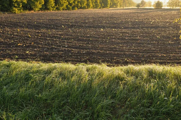 Campo Agricolo Arato Tessitura Del Suolo Foresta Sullo Sfondo Morbida — Foto Stock