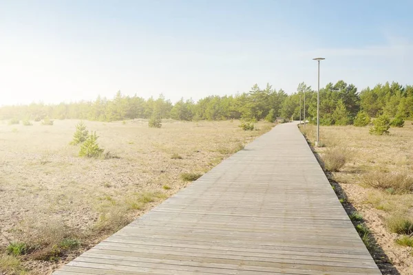 Modern Wooden Pathway Boardwalk Baltic Sea Coast Forest Idyllic Landscape — Stok fotoğraf