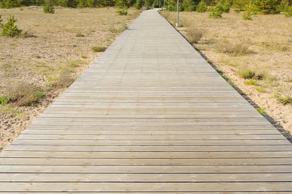 Modern Wooden Pathway Boardwalk Baltic Sea Coast Forest Idyllic Landscape — Photo