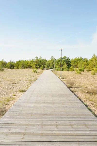 穿越波罗的海海岸和森林的现代木制通道 木板路 Idyllic景观 生态旅游 向北步行 骑自行车 健康的生活方式 — 图库照片