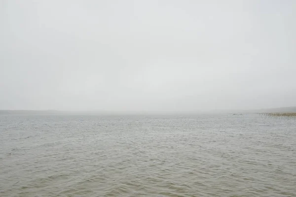 Las Rzeka Jezioro Gęstej Mgle Przygnębiające Niebo Deszcz Dzień Zachmurzenia — Zdjęcie stockowe