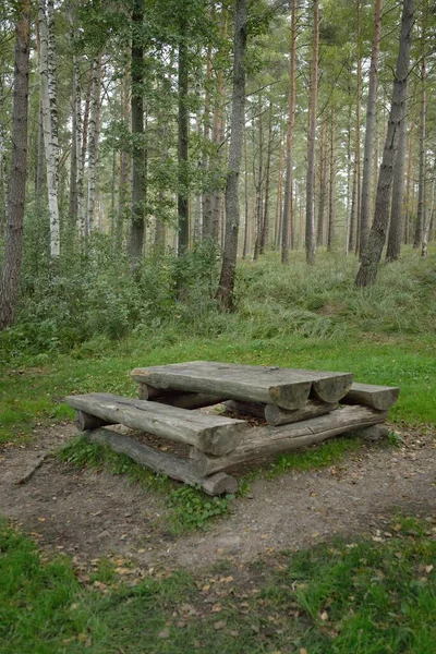 Erholungsgebiet Und Ruhezone Einem Grünen Wald Rustikale Holzbank Und Tisch — Stockfoto