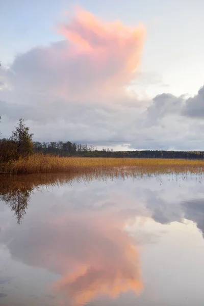 日落时的森林湖泊 柔和的阳光 明亮的云彩 对称的反射在晶莹清澈的水中 Idyllic景观 全景全景 生态旅游 和平与欢乐概念 — 图库照片