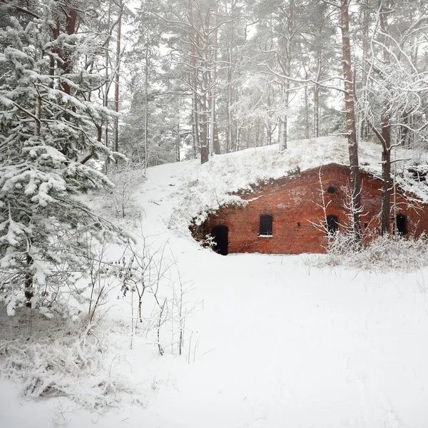 在白雪覆盖的森林中央 一个废弃的红砖军用弹药箱 拉脱维亚 保护主题 — 图库照片