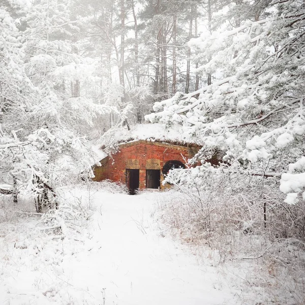 在白雪覆盖的森林中央 一个废弃的红砖军用弹药箱 拉脱维亚 保护主题 — 图库照片