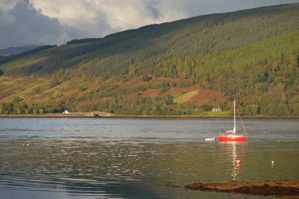 Sailboat Anchored Lake Majestic Forest Hills Scotland Atmospheric Landscape Travel — Stok fotoğraf