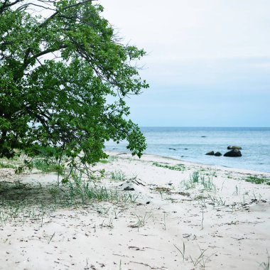 Kumlu sahilden (plaj) Baltık Denizi manzarası. Gökyüzü açık. Idyllic deniz manzarası. Ruhnu Adası, Estonya. Doğa, çevre, eko-turizm