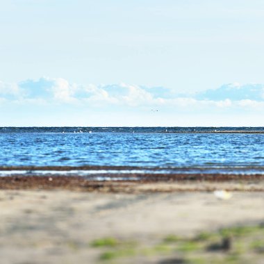 Gün batımında Baltık kıyısı manzarası. Gökyüzü açık. Dalgalar ve su sıçramaları. Idyllic deniz manzarası. Ruhnu Adası, Estonya