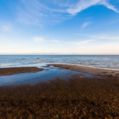 Gün batımında Baltık kıyısı manzarası. Gökyüzü açık. Dalgalar ve su sıçramaları. Idyllic deniz manzarası. Ruhnu Adası, Estonya