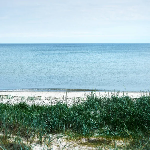 View Baltic Sea Sandy Shore Beach Clear Sky Idyllic Seascape — Stockfoto