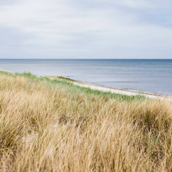 View Baltic Sea Sandy Shore Beach Clear Sky Idyllic Seascape — 스톡 사진