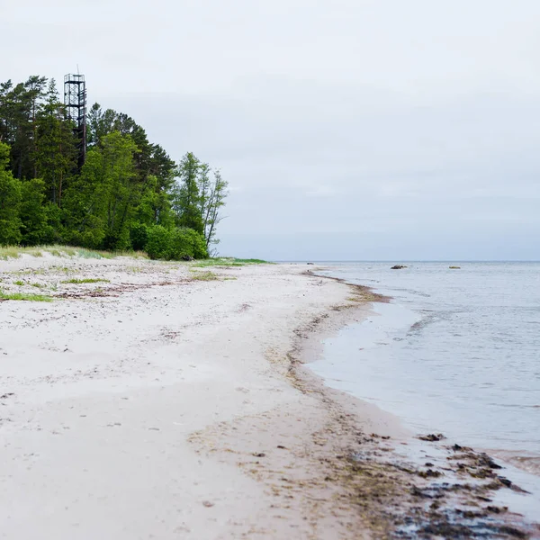 View Baltic Sea Sandy Shore Beach Clear Sky Idyllic Seascape — Stock Photo, Image