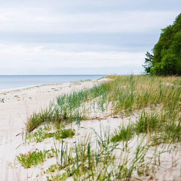 Kumlu Sahilden Plaj Baltık Denizi Manzarası Gökyüzü Açık Idyllic Deniz — Stok fotoğraf