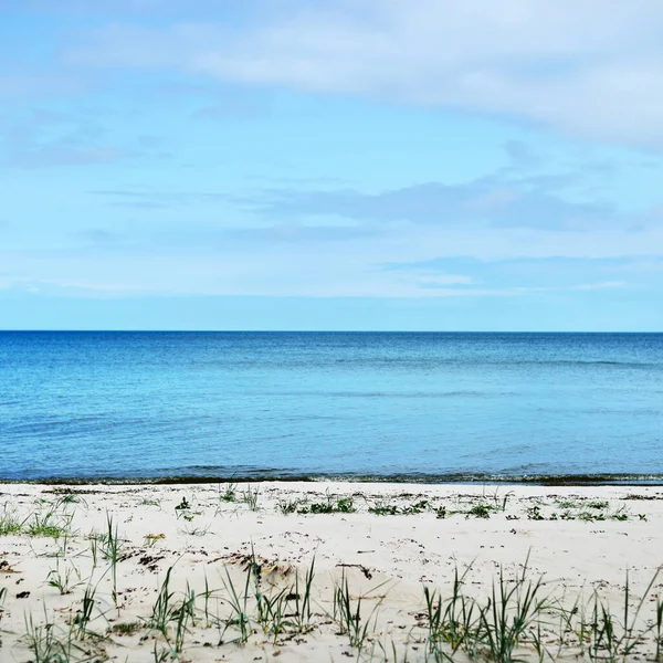 View Baltic Sea Sandy Shore Beach Clear Sky Idyllic Seascape — Stockfoto