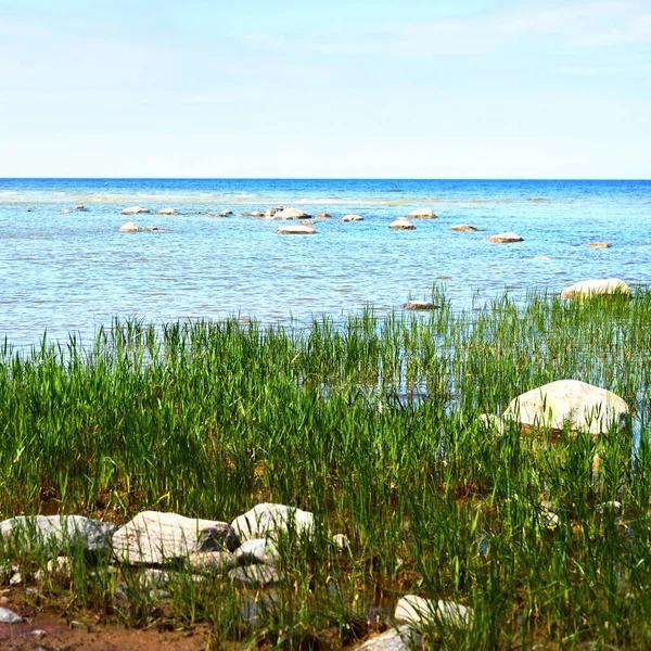 View Baltic Sea Sandy Shore Beach Clear Sky Idyllic Seascape — Stock Photo, Image
