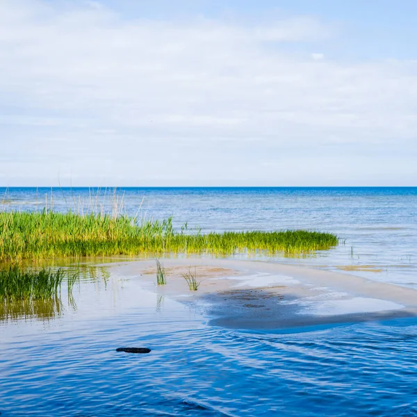 View Baltic Sea Sandy Shore Beach Clear Sky Idyllic Seascape — Stok fotoğraf