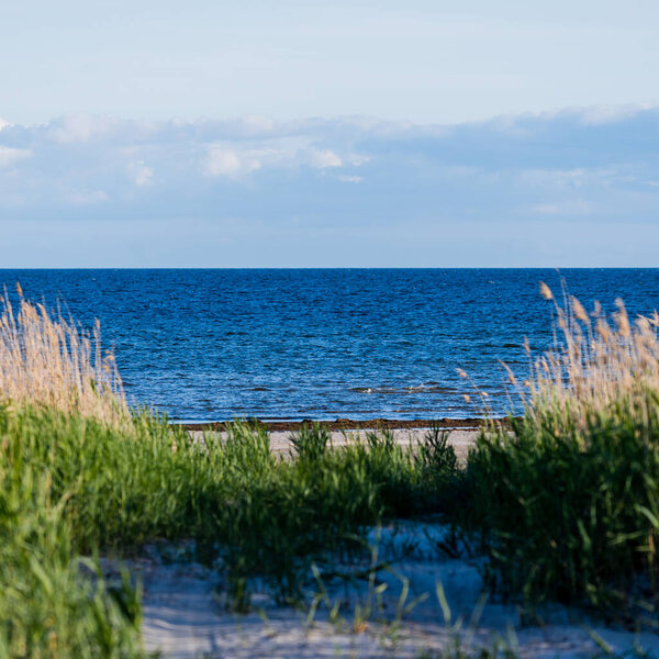 A view of the Baltic sea shore at sunset. Clear sky. Waves and water splashes. Idyllic seascape. Ruhnu island, Estonia