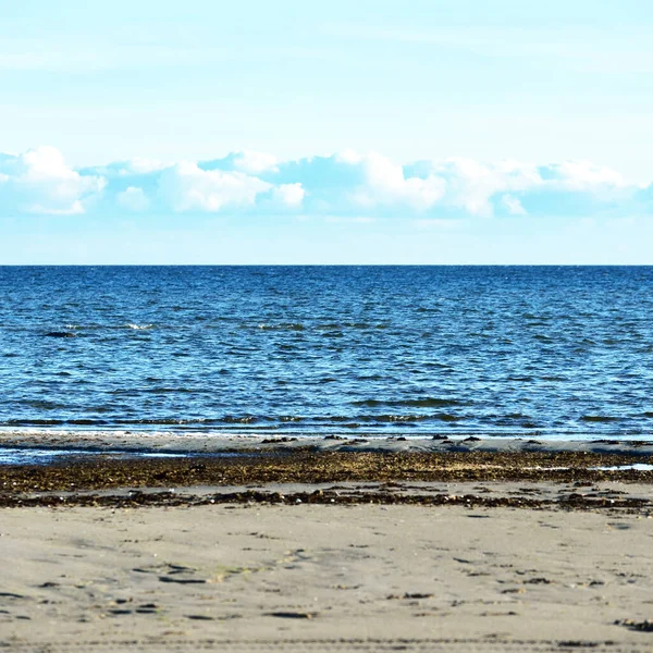 Una Vista Orilla Del Mar Báltico Atardecer Cielo Despejado Olas — Foto de Stock