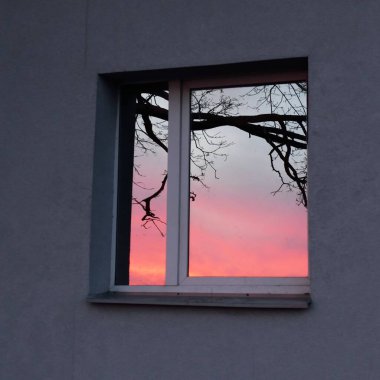 Ağaç dalları ve parlayan kırmızı bulutlar, pencere camındaki yansımalar. Kış batımı. Manzara kavramı. Dış bina, uzak yerler, çevre koruma kavramları. Panoramik resim