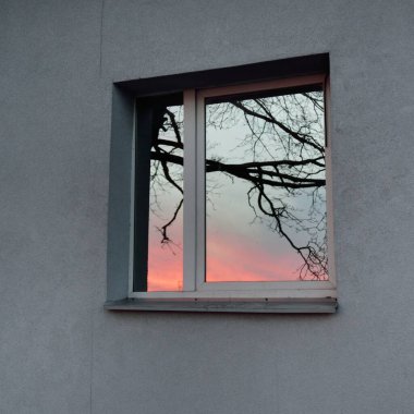 Ağaç dalları ve parlayan kırmızı bulutlar, pencere camındaki yansımalar. Kış batımı. Manzara kavramı. Dış bina, uzak yerler, çevre koruma kavramları. Panoramik resim