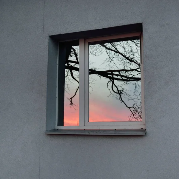 Ağaç dalları ve parlayan kırmızı bulutlar, pencere camındaki yansımalar. Kış batımı. Manzara kavramı. Dış bina, uzak yerler, çevre koruma kavramları. Panoramik resim