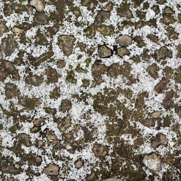 白雪覆盖的金黄相间的秋叶 水晶白色白霜 自然质感背景图形资源 Winter Climate Change Ecology Nature Concepts — 图库照片