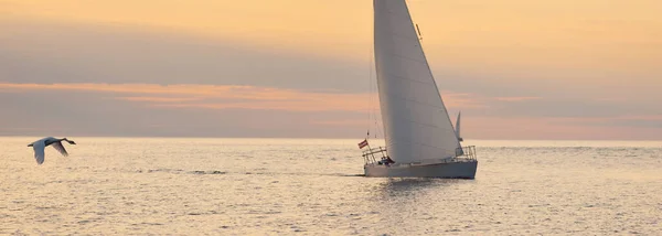 Vit Slupen Riggade Yacht Segling Östersjön Vid Solnedgången Klar Himmel — Stockfoto