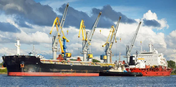 Грузовые Суда Загружаются Портовый Терминал Краны Заднем Плане Балтийское Море — стоковое фото