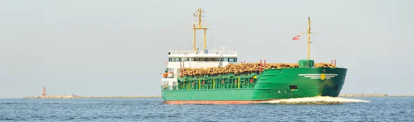Великий Зелений Вантажний Корабель Довжиною 100 Метрів Дровами Плавають Балтійському — стокове фото