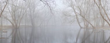 Küçük nehir (göl. Bir orman parkında. Buz, kar, sis, yumuşak ışık. Güçlü ve genç ağaçlar, bitkiler. Baharın başında. Saf doğa, çevre, hava, iklim değişikliği. Temiz hava, eko turizm teması