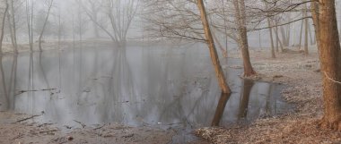 Küçük nehir (göl. Bir orman parkında. Buz, kar, sis, yumuşak ışık. Güçlü ve genç ağaçlar, bitkiler. Baharın başında. Saf doğa, çevre, hava, iklim değişikliği. Temiz hava, eko turizm teması