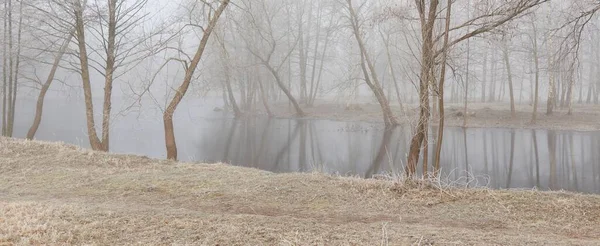 Río Pequeño Lago Estanque Parque Forestal Escarcha Nieve Niebla Luz — Foto de Stock