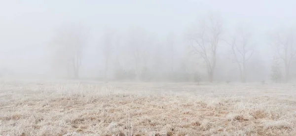 Parco Forestale Nella Nebbia All Alba Gelo Neve Nebbia Luce — Foto Stock