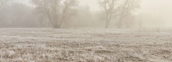 Lesní Park Mlze Úsvitu Mráz Sníh Mlha Měkké Sluneční Světlo — Stock fotografie