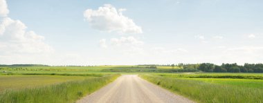 Güneşli bir günde yeşil tarlalarda ve ormanlarda araba sürmek. Açık mavi gökyüzü. Idyllic kırsal alanı, konsept manzarası. Doğa, uzak yerler, lojistik, yaz tatili, yol gezisi