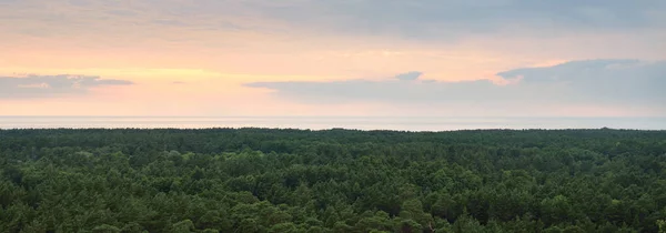 Häpnadsväckande Panoramautsikt Över Den Majestätiska Vintergröna Skogen Och Östersjön Vid — Stockfoto