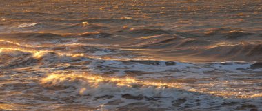 Fırtınadan sonra Baltık kıyıları. Gün batımı, yumuşak altın güneş ışığı. Su yüzeyi dokusu, çarpan dalgalar ve sıçramalar. Resimli panoramik manzara, arka plan. Doğa, çevre, ekoloji kavramları