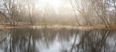 Gün batımında orman gölü (nehir) panoramik manzarası. Yumuşak güneş ışığı, berrak gökyüzü, suyun yansımaları, doğal ayna. Huş ağaçları. Baharın başında. İdealist pastoral manzara. Doğa, çevre, ekoloji
