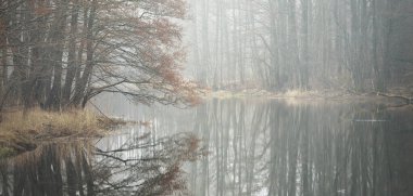 Orman parkında bir kanal (nehir). Sonbahar renkleri, sis, sis, bulutlu bir gün. Güçlü ağaçlar, kuru bitkiler. Baharın başında. Kristal berraklığında simetri yansımaları, doğal ayna. Yalnızlık, sessizlik kavramı
