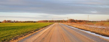 Kırsal yol gün batımında orman ve tarla boyunca. Elektrik hattı, yakın plan. Idyllic bahar manzarası. Parlayan bulutlu açık mavi gökyüzü. Doğa, seyahat, yerel turizm, lojistik, uzak yerler