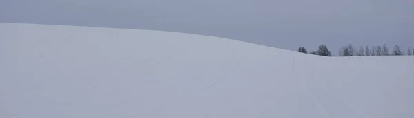 Kara Fırtına Altında Karla Kaplı Orman Tepelerinin Tarımsal Alan Panoramik — Stok fotoğraf