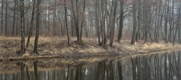 Canal Rivier Een Bos Park Herfst Kleuren Mist Mist Bewolkte — Stockfoto