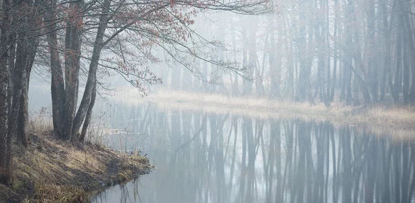 Vista Panoramica Del Canale Fiume Parco Forestale Colori Autunnali Nebbia — Foto Stock