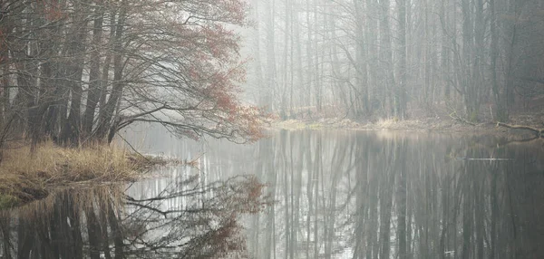 Canal Río Parque Forestal Colores Otoñales Niebla Niebla Día Nublado —  Fotos de Stock
